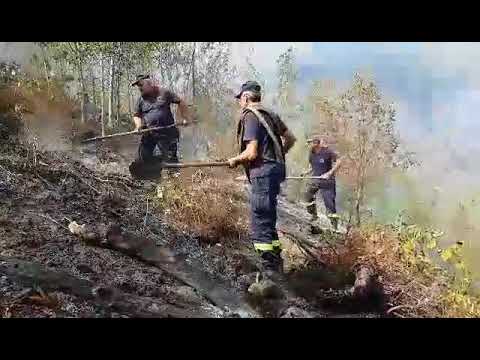 მეხანძრეები გურიიდან