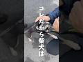 コレだから柴犬は…（笑）※暴挙注意