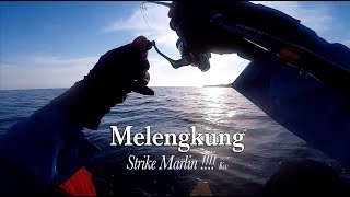 MELENGKUNG STRIKE MARLIN !!!! kw #baweanmancing #ultralightfishing