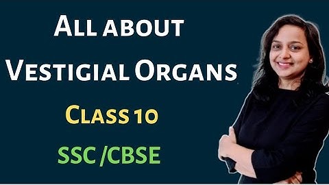🔴 Vestigial Organs | Heredity And Evolution| Class 10 | Maharashtra Board