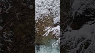 River in Winter, Dolomiti Mountains