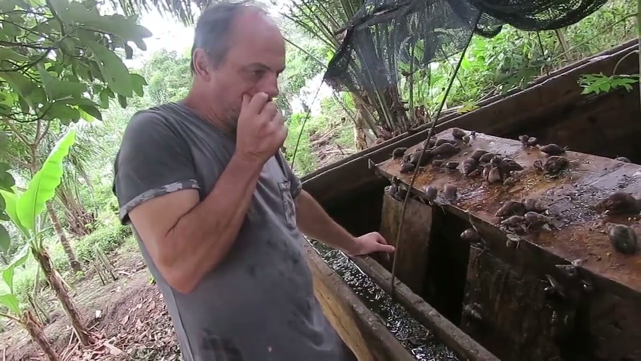 E11 – Является ли компания Snail Ivoire мошеннической?