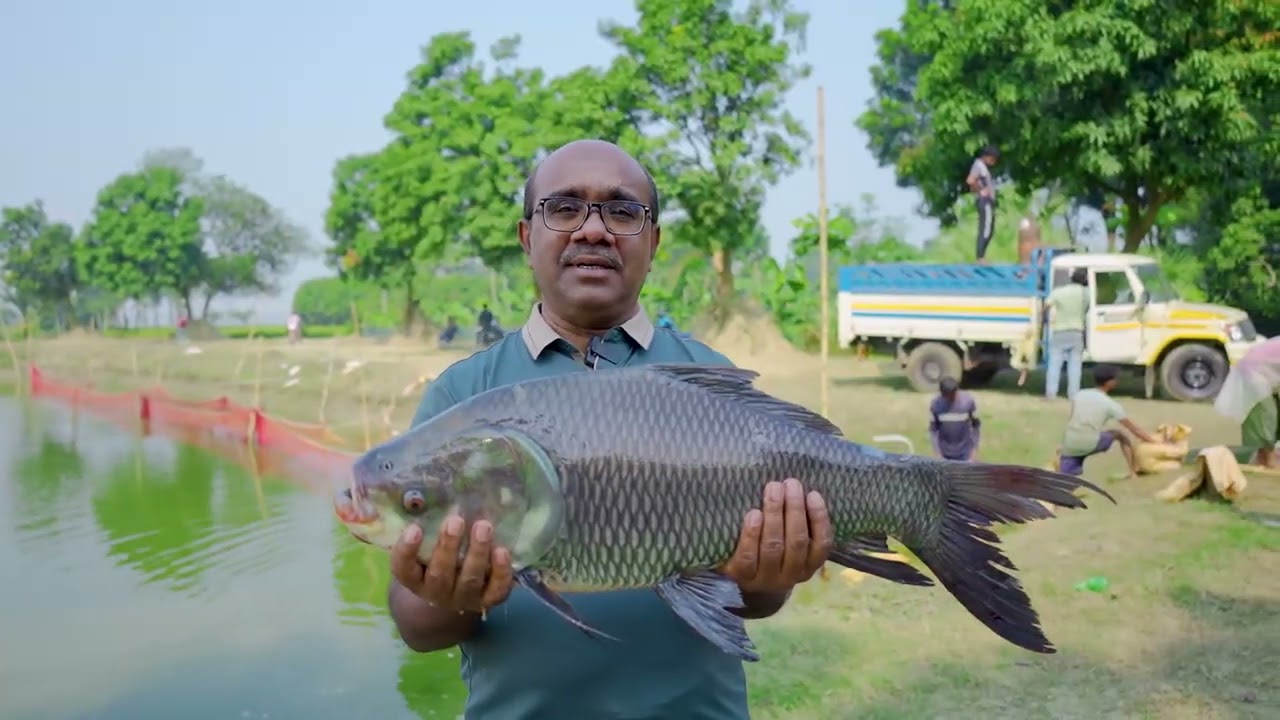 সিও সংস্থার উপকারভোগীদের চলমান মৎসচাষ প্রকল্প