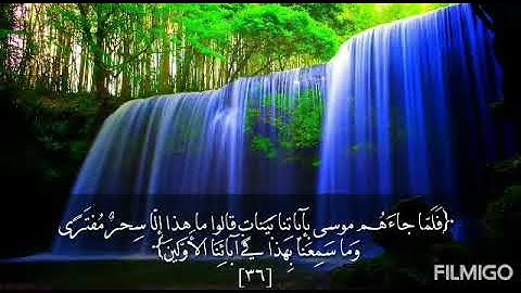 من روائع التلاوات من سورة القصص بصوت الأخ أبي يحيى وليد الريدي