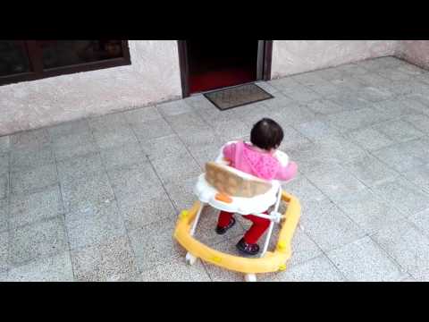 თეკლა კატაობს ჭოჭინით