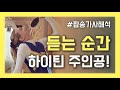 듣는 순간 하이틴 주인공이 되는 팝송 플레이리스트