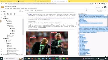 Object Detection and Blurring with YOLOv5: Protecting Privacy in Videos