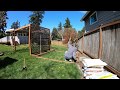 Building a vegetable box with garden hose fed irrigation sprinkler timelapse