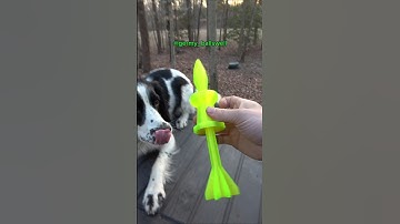 whistling fin stabilized discarding sabot #puppy #potatocannon #3dprinting