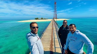 A trip in the Kuwait Sea and exploring the island