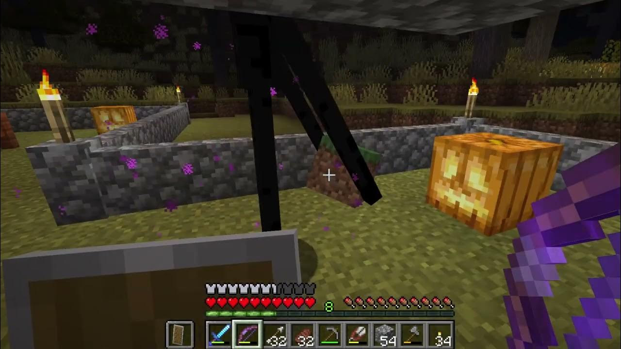 I learned how to kill Enderman YouTube