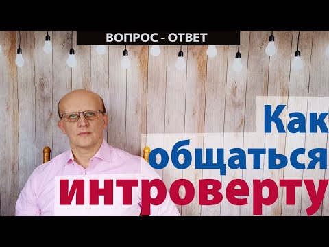 Как общаться интроверту. Общение интроверта