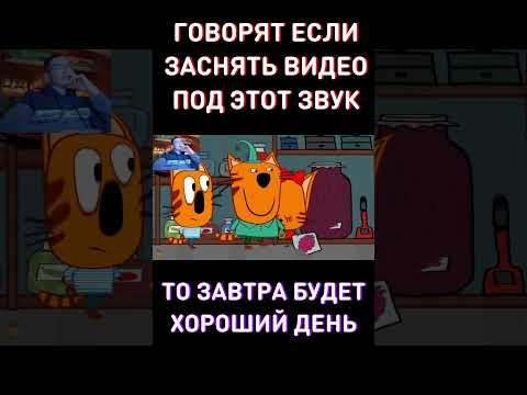 ШИЗОФРЕНИ... RYTP Три Кота