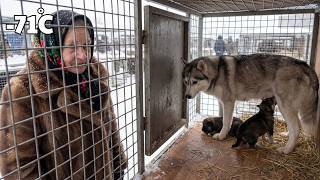 92 Year Old Widow Rescues A Husky Pup Survival In 71C Siberia