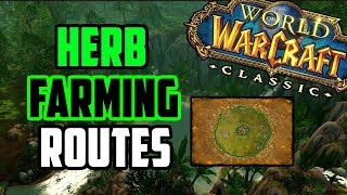 Farming Herbs in Classic WoW - 16 Different Farming Routes