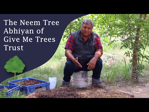 The Neem Tree Abhiyan of Give Me Trees Trust