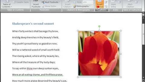 Microsoft Word 2007 ENG TB 05 13 Insert Figure Caption
