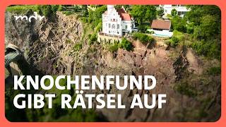 Menschlicher Knochen von vermisster Dresdnerin gefunden | Kripo live | MDR Menschlicher Knochen von vermisster Dresdnerin gefunden | Kripo live | MDR
