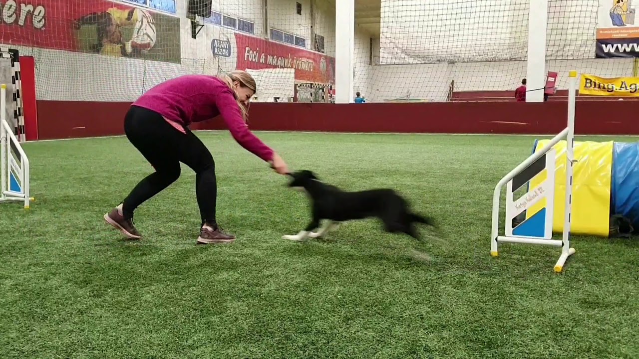 Wondersoul Agility Foundations - by Anita & Deni