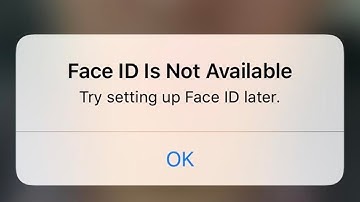 Face Id Is Not Available Try Setting Up Face Id Later