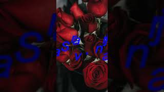 Dj.sarvan.raj