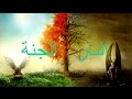 الحلقة 1 : الجنة والنار - الدكتور محمد شحرور ..  من اجمل ما سمعته عن الجنة و النار