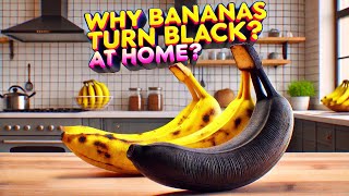 Why Bananas Turn Black at Home ?
