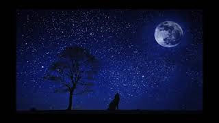 Sun - Stars Beat By .Mindog Beats