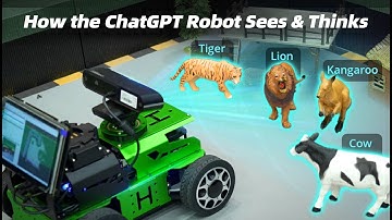 How the Robot with ChatGPT Sees and Thinks