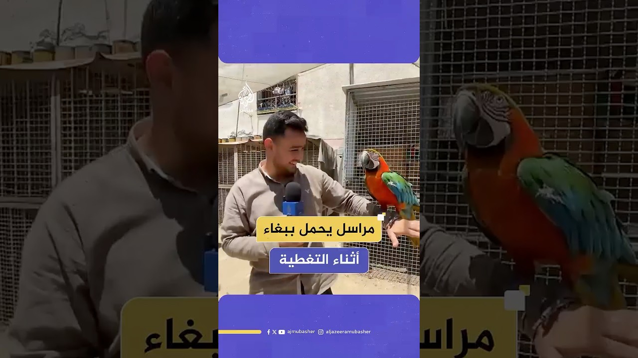 لقطة طريفة أثناء تغطية مراسل الجزيرة مباشر افتتاح حديقة حيوانات بدير البلح للترفيه عن الأطفال