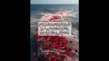 سورة النساء ٣٧ #قرآن #قرآن_كريم #قران #قران_كريم #قرأن #quran