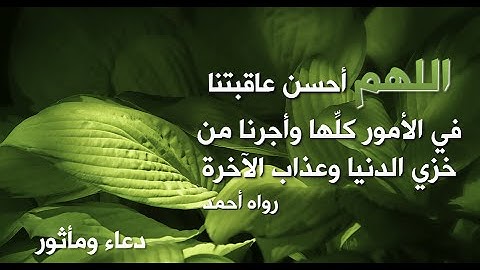 تلاوة خاشعة أبكت جمع غفير من المصلين في مسجد النجاح بالقبة