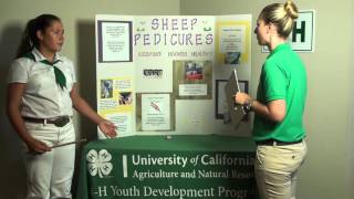 Educational Display Talk (Intermediate)