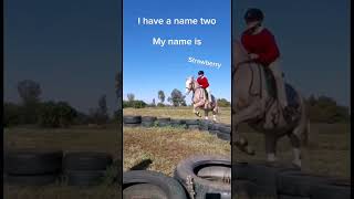 I have a girl|Riding journey #horse #enjoyriding #equestrian