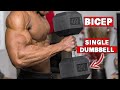 SINGLE DUMBBELL BICEP WORKOUT AT HOME | WORKOUT WITH ONLY ONE DUMBBELL!