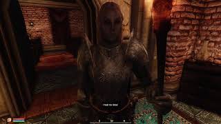 Oblivion but ULTRA MODDED +270 MODS MODERN GRAPHICS