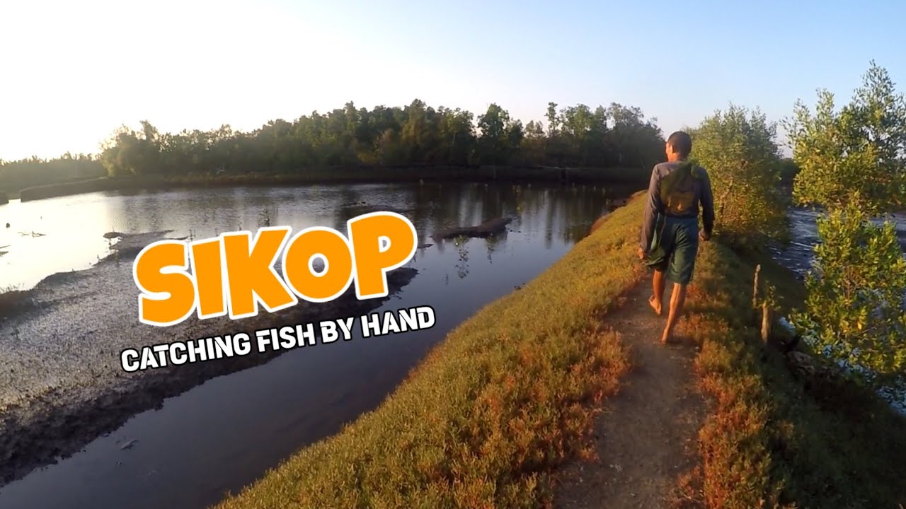 CATCHING FISH BY HAND / SIKOP #catchandcook