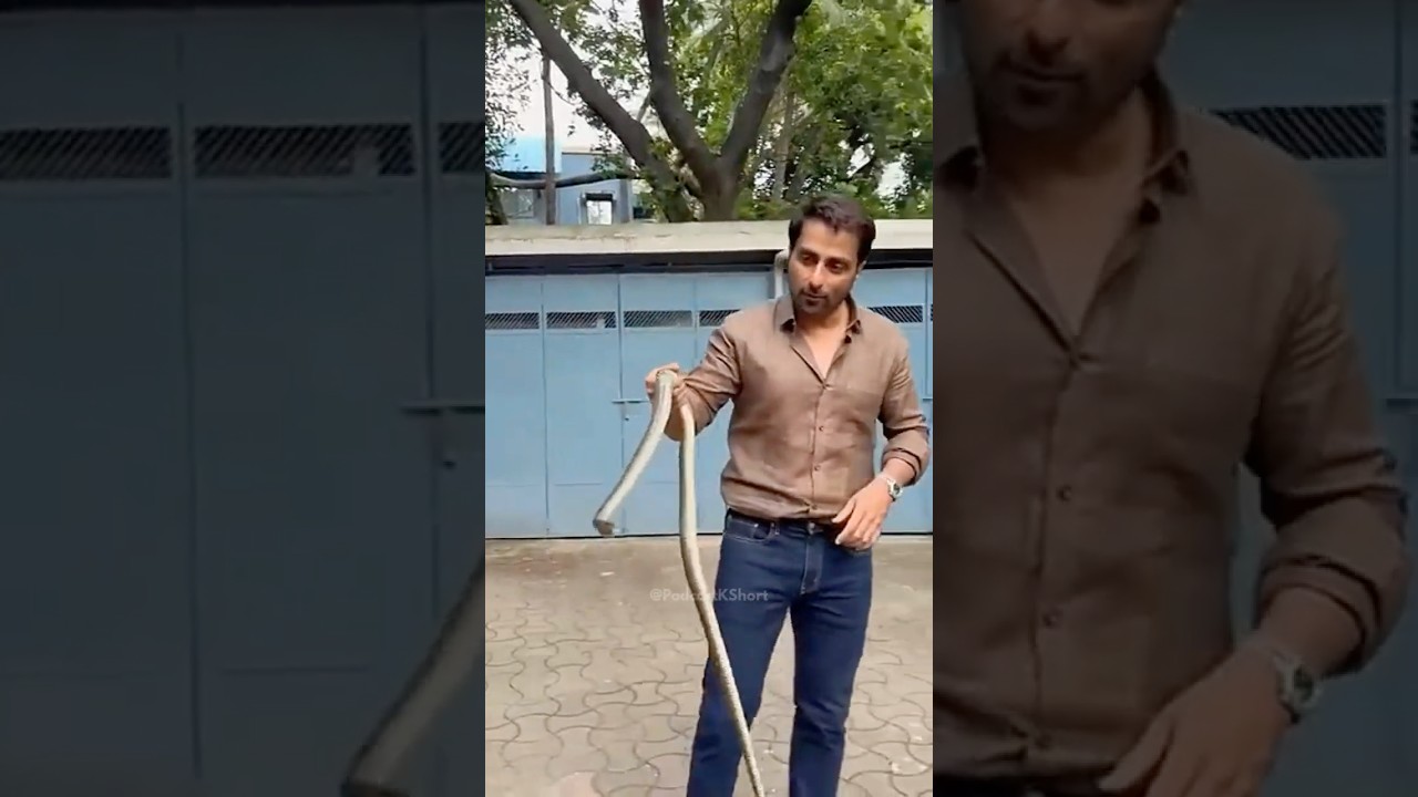 Sonu Sood Snake Rescue with Bare Hands in Society | Viral Hero Moment 