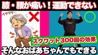 【スクワット100回より痩せる】運動できない人でも簡単!スクワット300回の効果がある『アピスクワット』