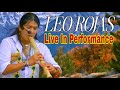 Leo Rojas • Live in Performance with Heart and Soul