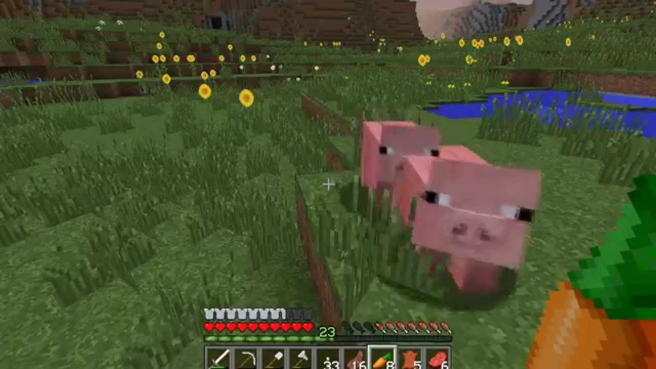Minecraft Pig Porn - Minecraft Survival #1 PIG PORN?! - YouTube