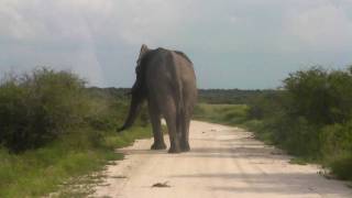 SANY0032.MP4