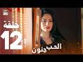 مسلسل الحب جنون الحلقة 12 مدبلج بالعربي Arabic Dubbed 