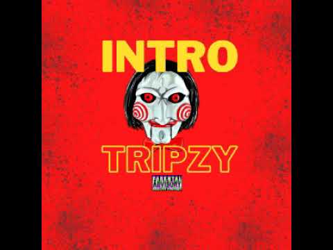Intro - TripZy