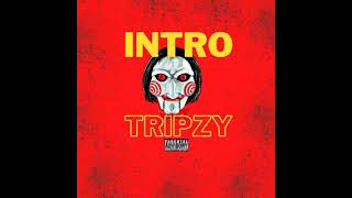 Intro - TripZy