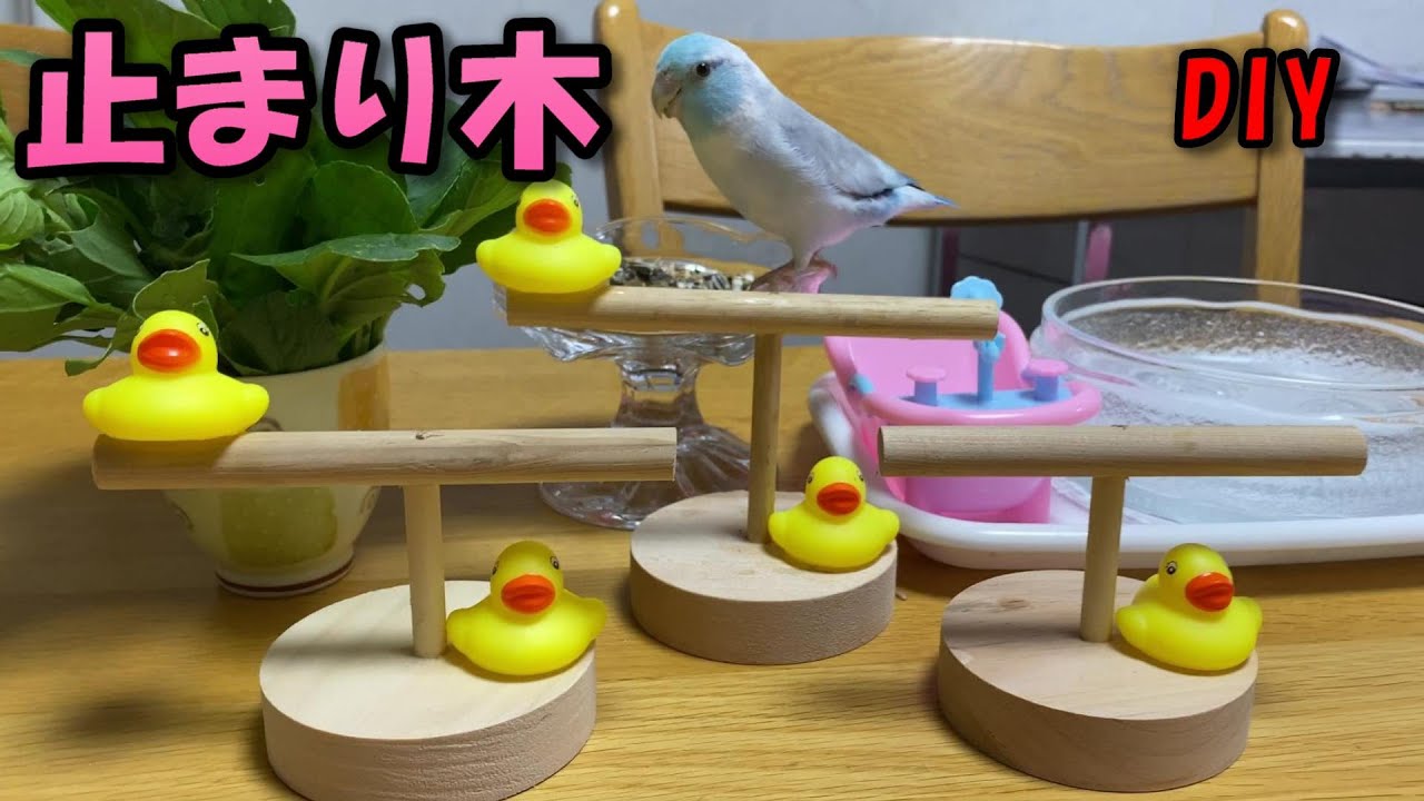 Diy 小鳥の止まり木を作りました Youtube
