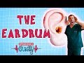 Operation Ouch - The Eardrum | Biology for Kids