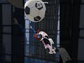 GTA 5 Epic Ragdolls | Spider-Man Jumps/Fails 145p #shorts