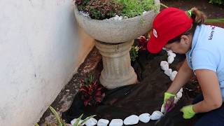 Jardinería.Cómo decorar una maceta o tiesto, con plantas en su liclonny - YouTube