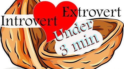 Introvert + Extrovert Love | Why it Works | 2 + Min Nutshell